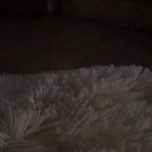 Meet your Posher, Esther